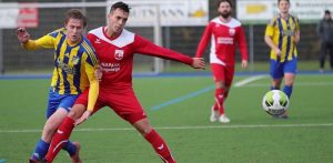 Brummenbaum erneut als Retter in der Not